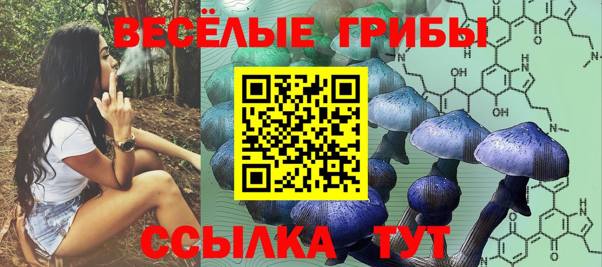 Звенигород  Галлюциногенные грибы прущие грибы  Псилоцибиновые грибы мицелий  Вход с VPN 